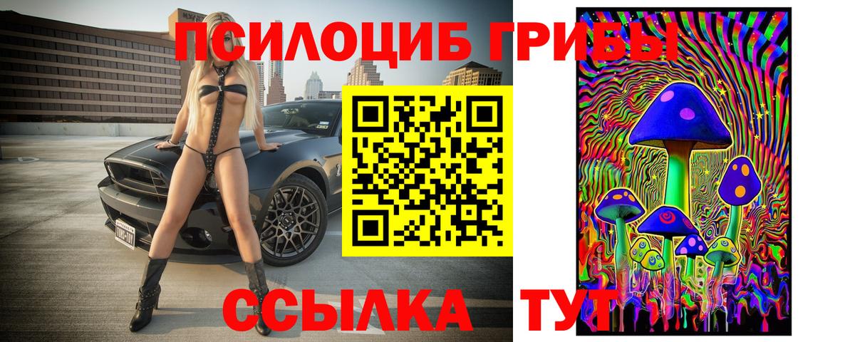 Галлюциногенные грибы Psilocybe Йошкар-Ола