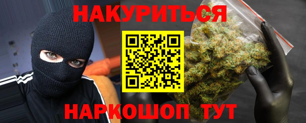 Канабис сатива Йошкар-Ола